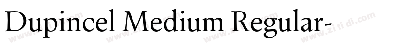 Dupincel Medium Regular字体转换